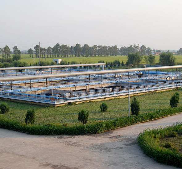 狮子会 - 打造绿色游戏娱乐