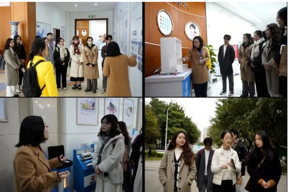 狮子会 - 打造绿色游戏娱乐