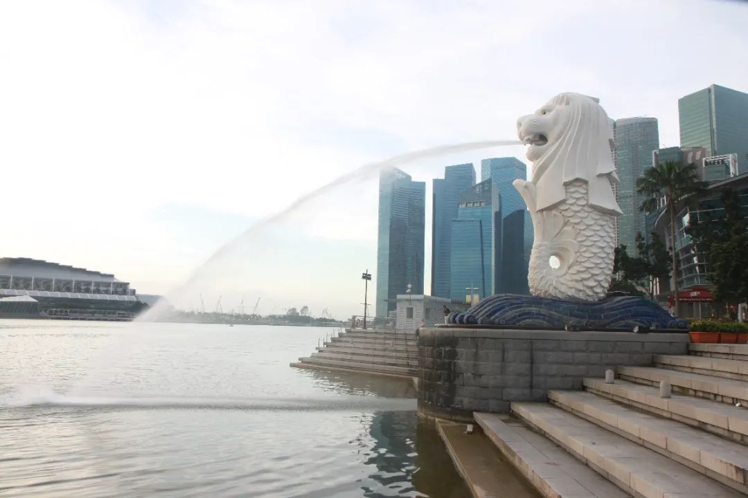 狮子会 - 打造绿色游戏娱乐