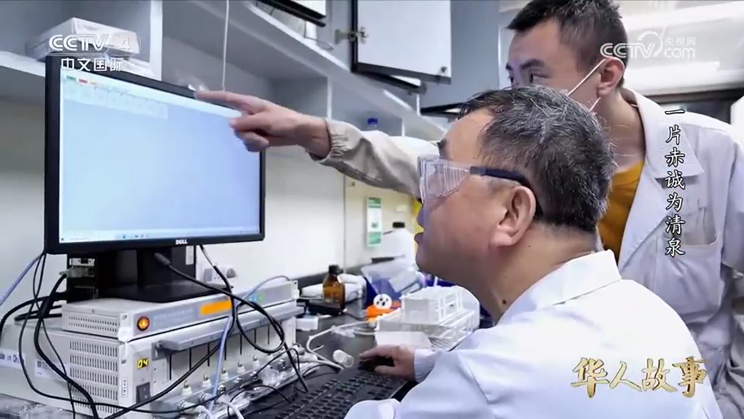 狮子会 - 打造绿色游戏娱乐