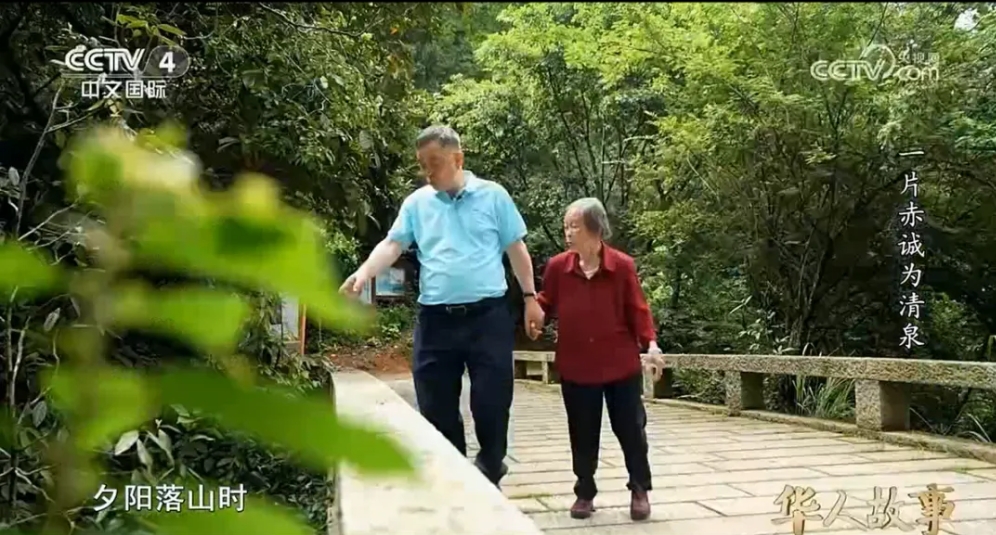 狮子会 - 打造绿色游戏娱乐