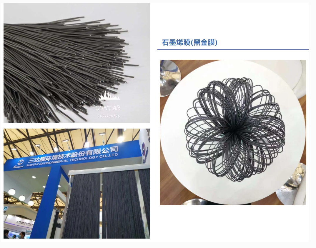 狮子会 - 打造绿色游戏娱乐