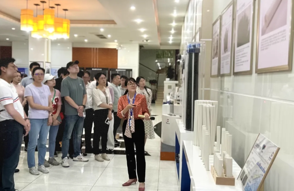 狮子会 - 打造绿色游戏娱乐