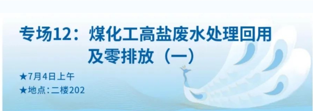 狮子会 - 打造绿色游戏娱乐