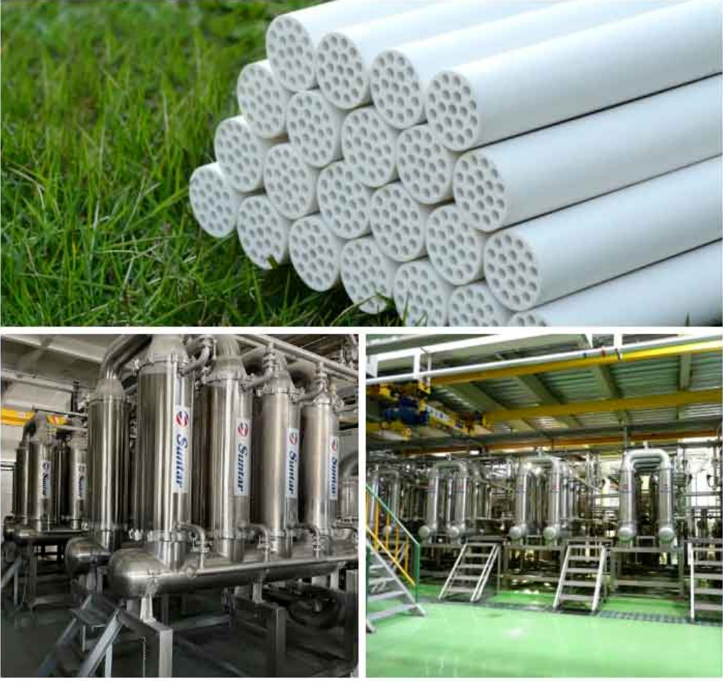 狮子会 - 打造绿色游戏娱乐