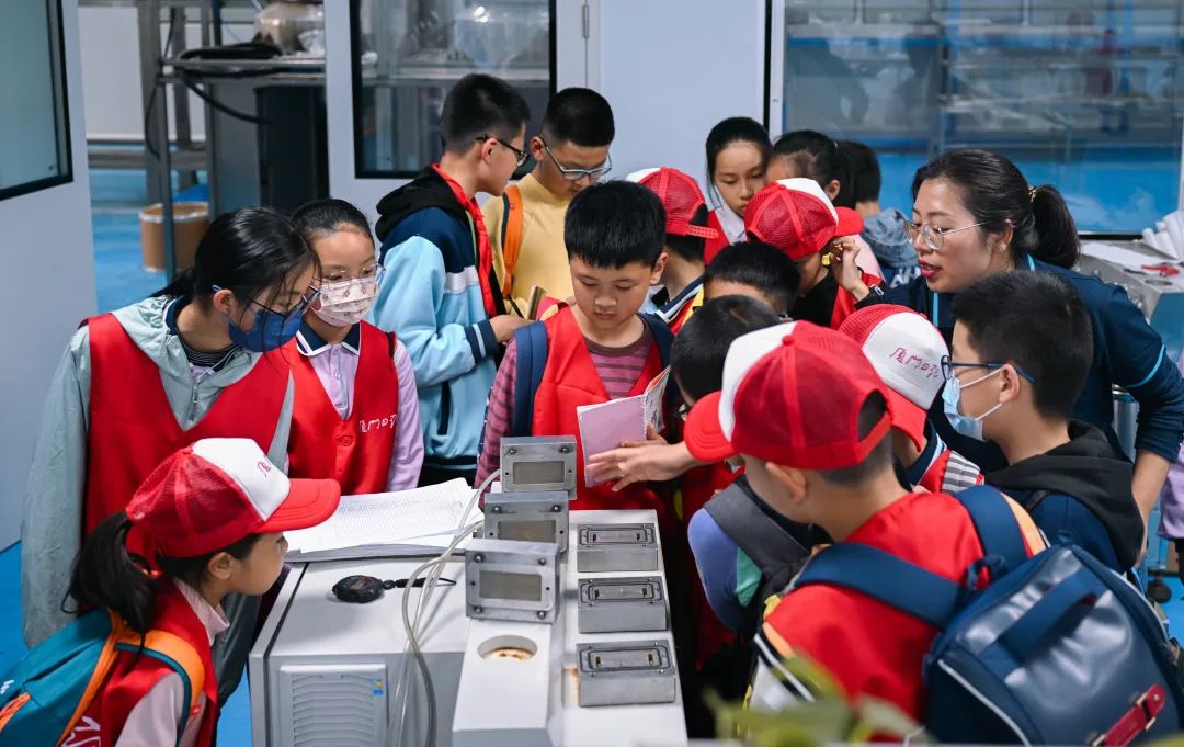 狮子会 - 打造绿色游戏娱乐