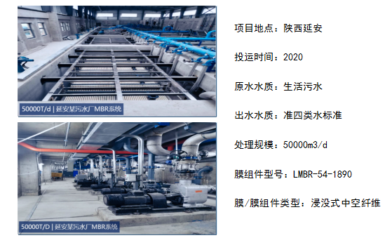 狮子会 - 打造绿色游戏娱乐