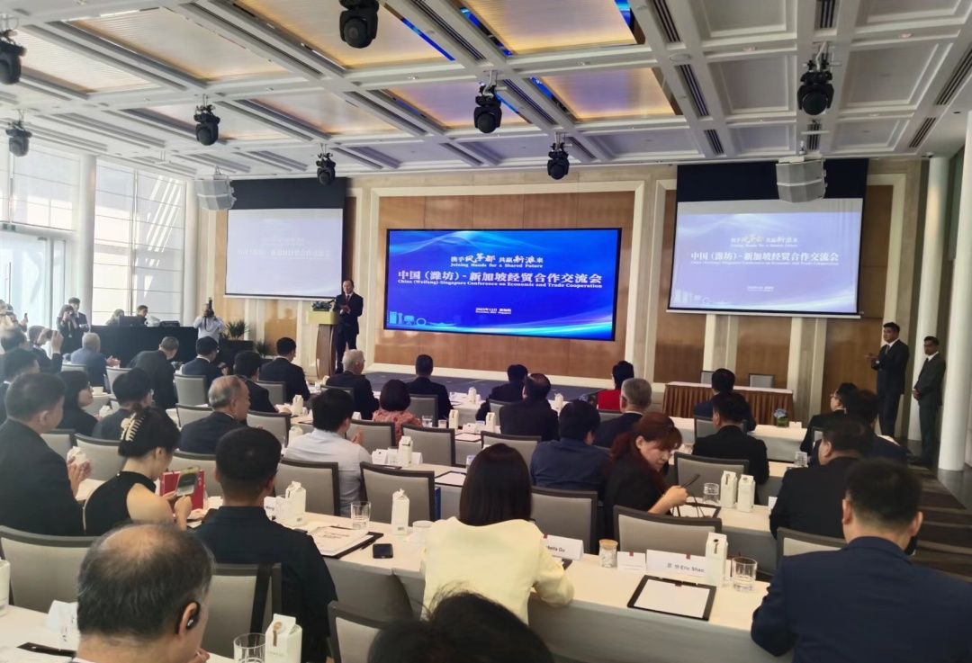 狮子会 - 打造绿色游戏娱乐