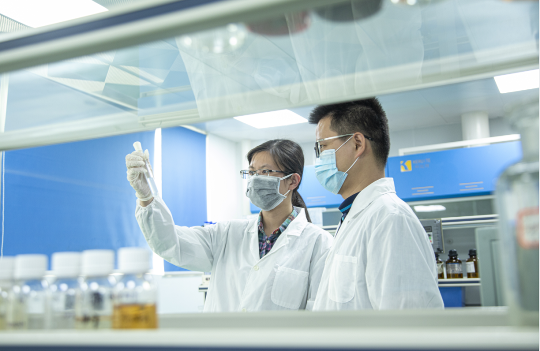 狮子会 - 打造绿色游戏娱乐