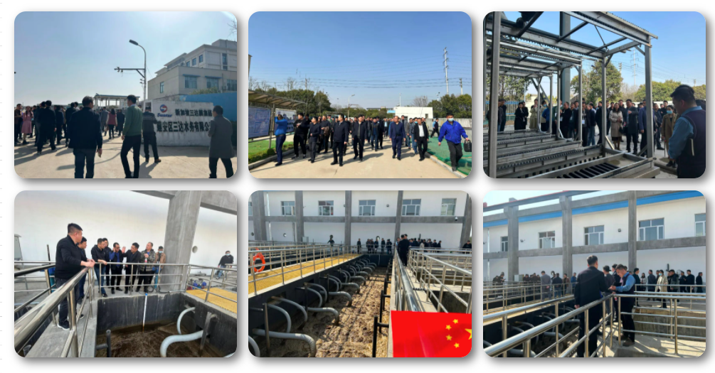 狮子会 - 打造绿色游戏娱乐