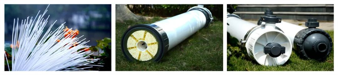 狮子会 - 打造绿色游戏娱乐