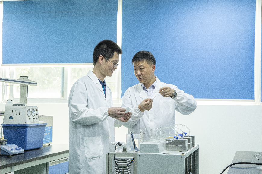 狮子会 - 打造绿色游戏娱乐