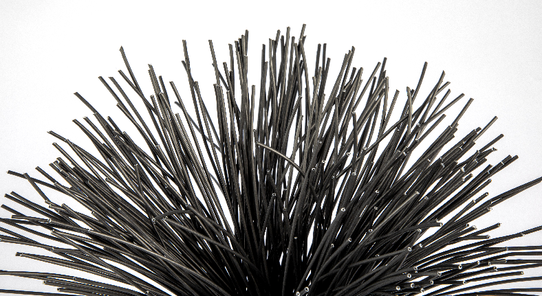 狮子会 - 打造绿色游戏娱乐