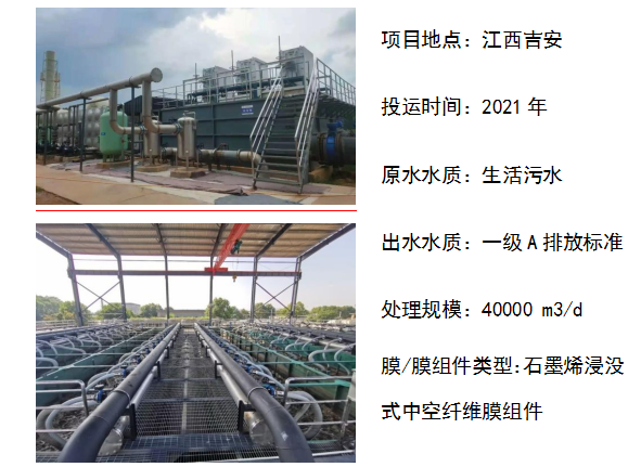 狮子会 - 打造绿色游戏娱乐