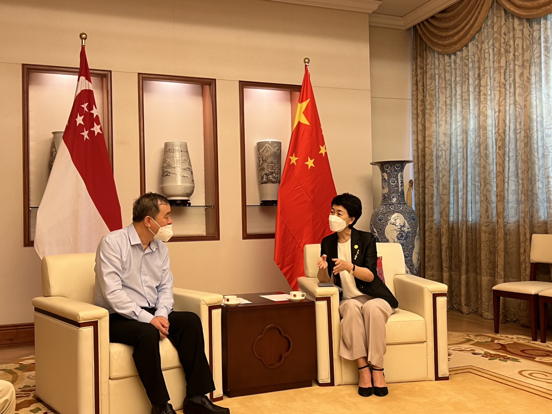 狮子会 - 打造绿色游戏娱乐