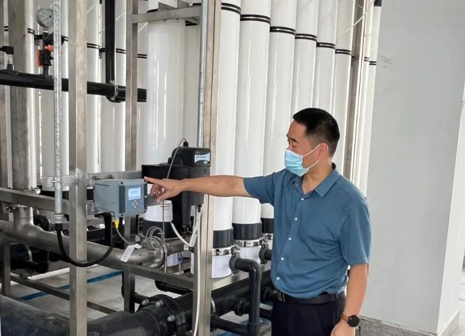 狮子会 - 打造绿色游戏娱乐