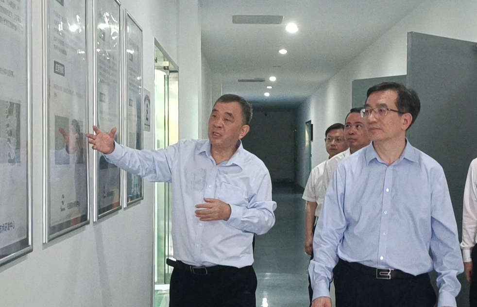 狮子会 - 打造绿色游戏娱乐