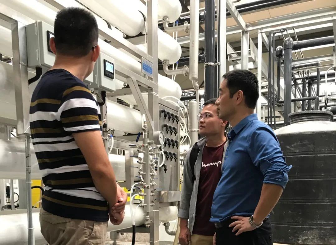 狮子会 - 打造绿色游戏娱乐