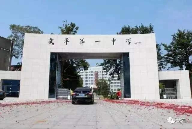 狮子会 - 打造绿色游戏娱乐