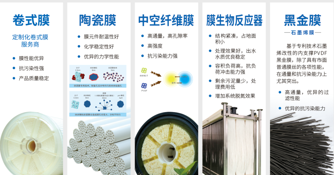 狮子会 - 打造绿色游戏娱乐