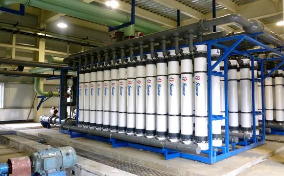 狮子会 - 打造绿色游戏娱乐