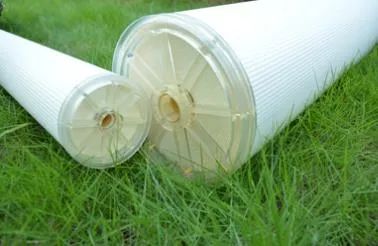 狮子会 - 打造绿色游戏娱乐