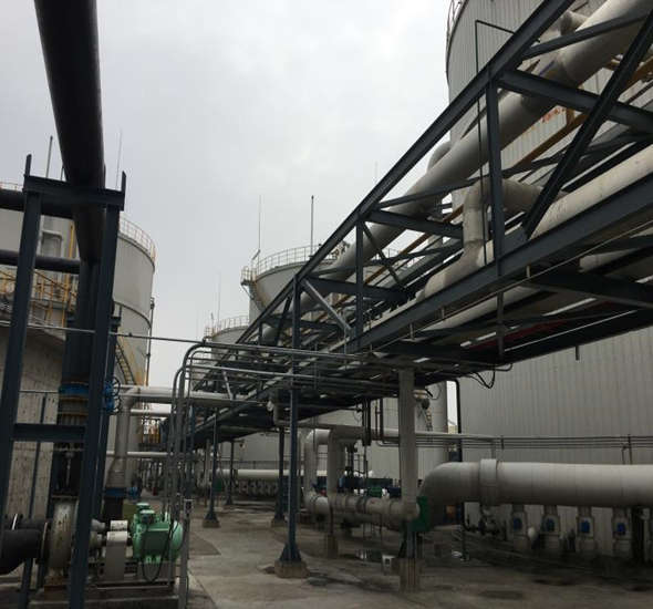 狮子会 - 打造绿色游戏娱乐