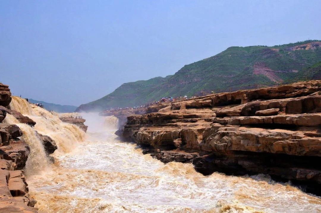 狮子会 - 打造绿色游戏娱乐