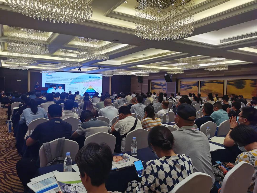 狮子会 - 打造绿色游戏娱乐