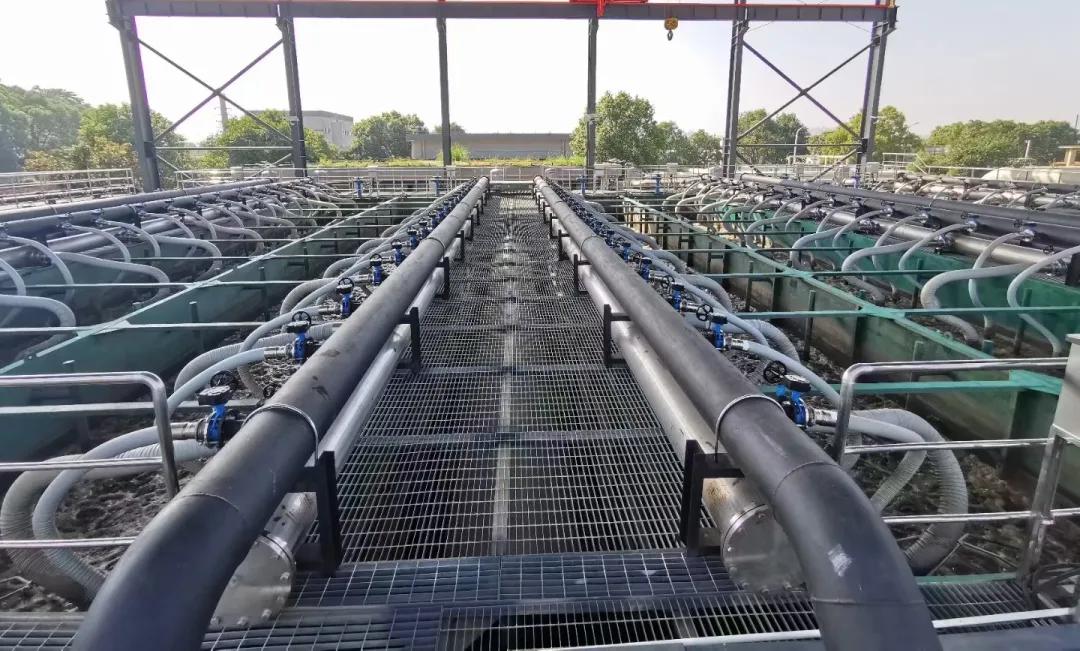 狮子会 - 打造绿色游戏娱乐