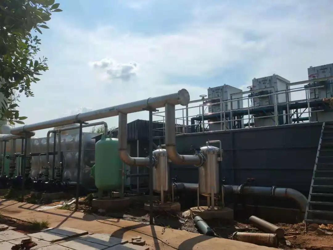 狮子会 - 打造绿色游戏娱乐