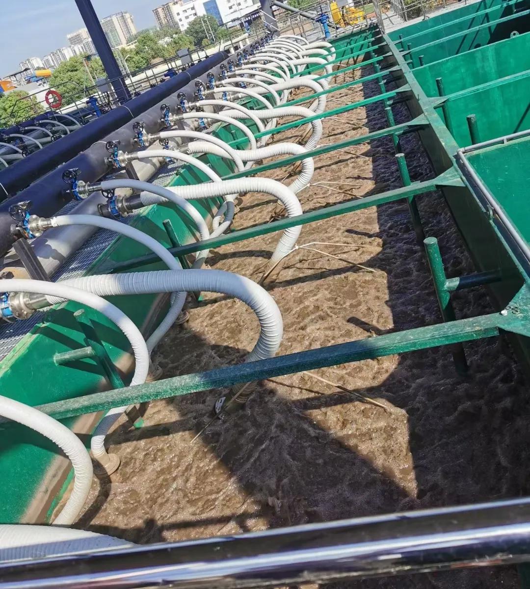 狮子会 - 打造绿色游戏娱乐