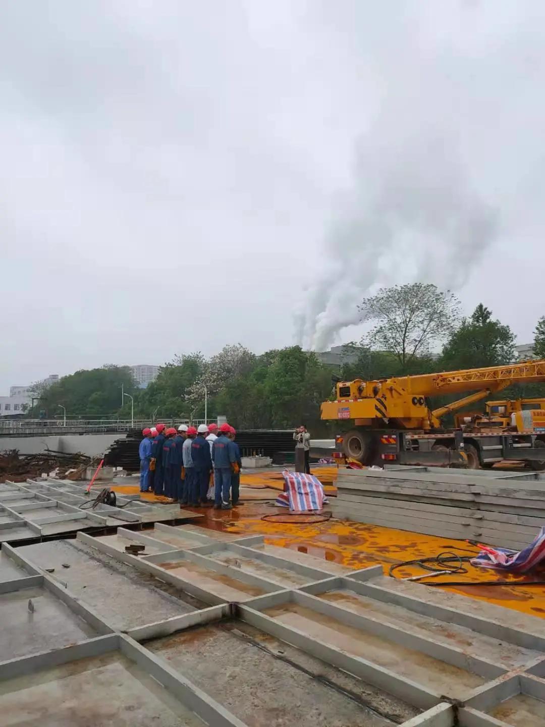 狮子会 - 打造绿色游戏娱乐