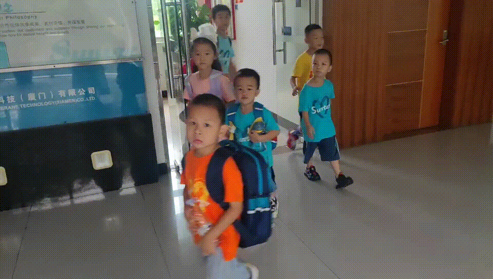 狮子会 - 打造绿色游戏娱乐