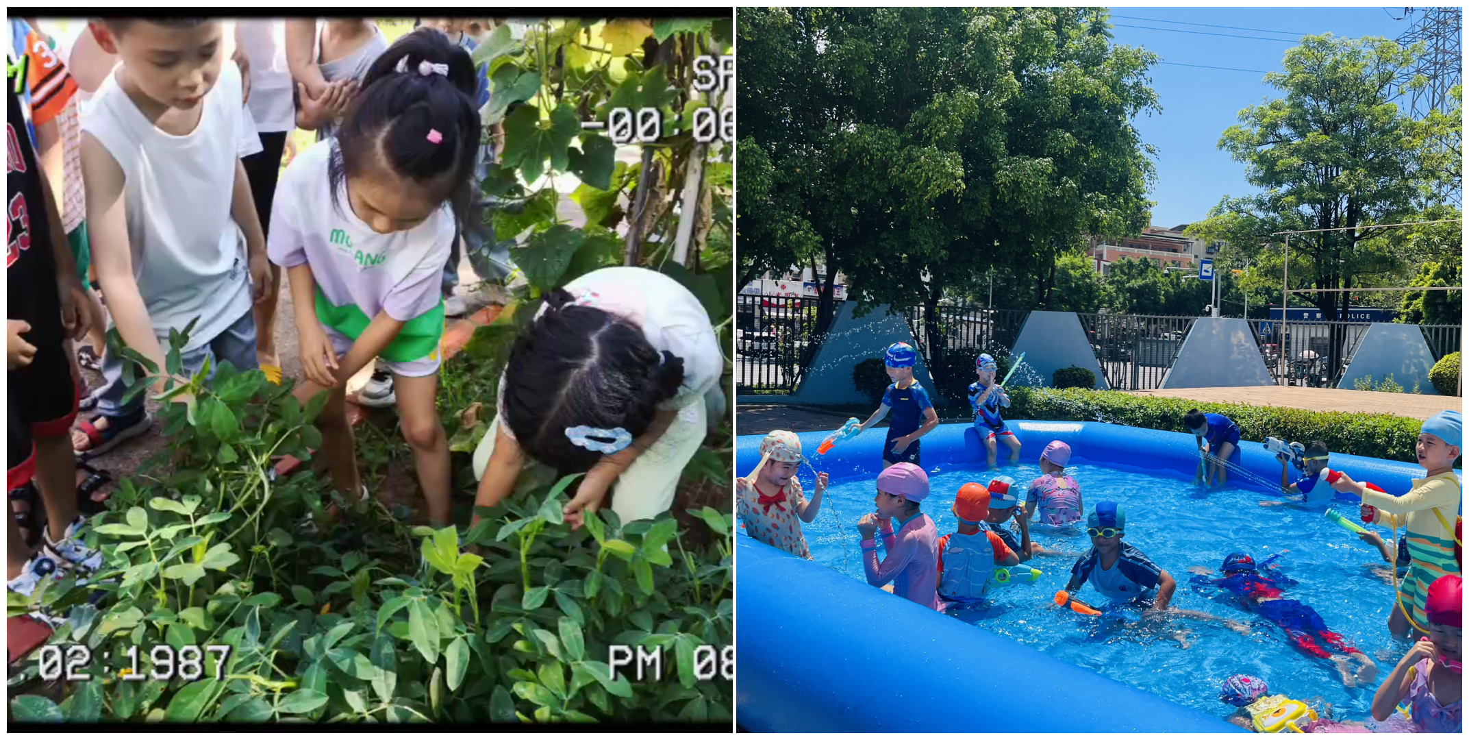 狮子会 - 打造绿色游戏娱乐