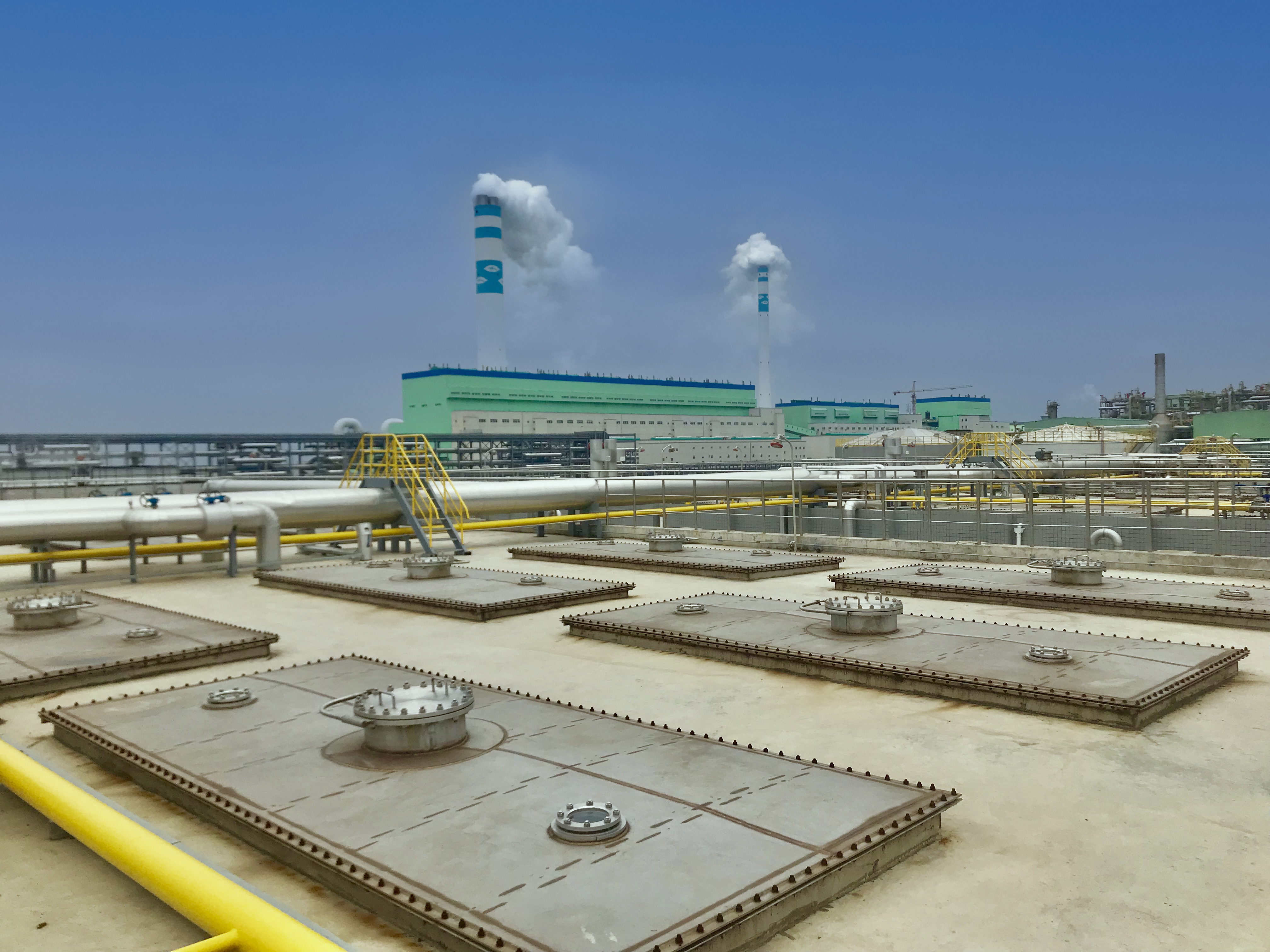 狮子会 - 打造绿色游戏娱乐