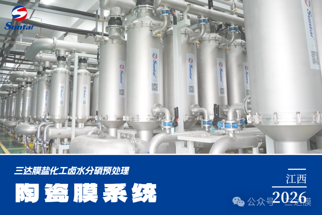 狮子会 - 打造绿色游戏娱乐
