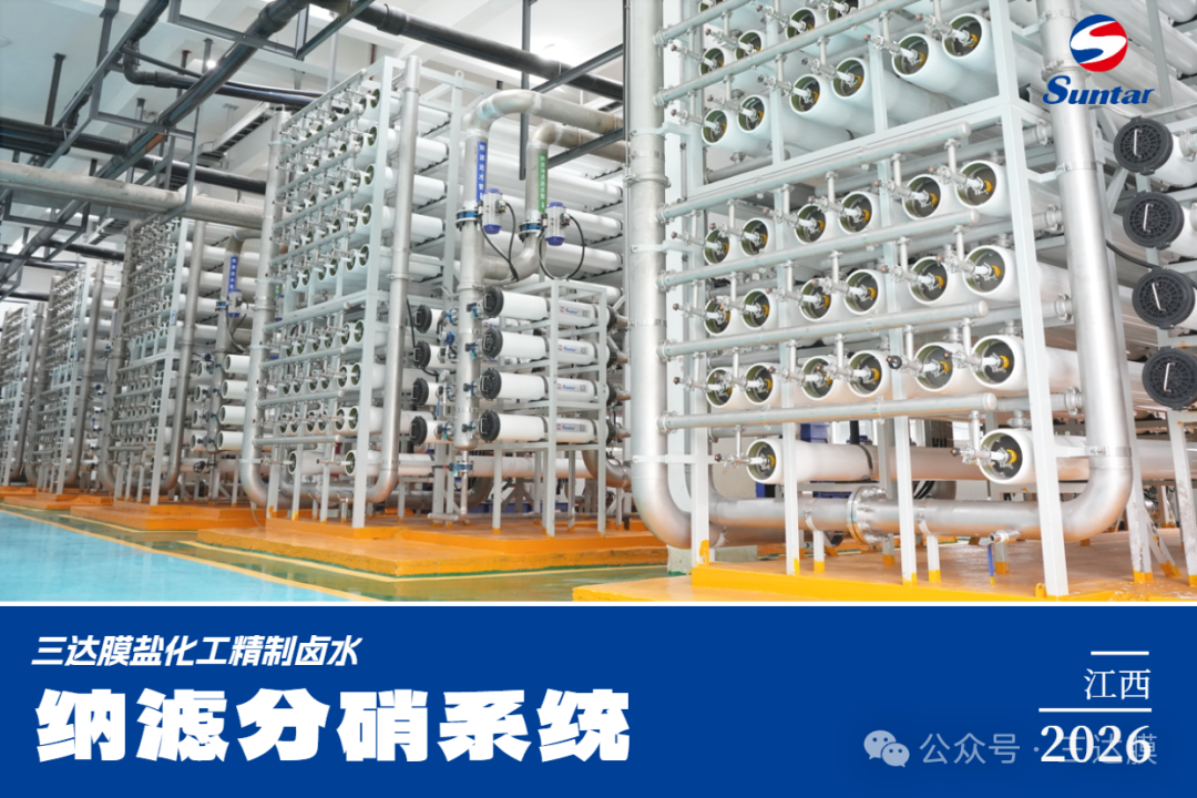 狮子会 - 打造绿色游戏娱乐