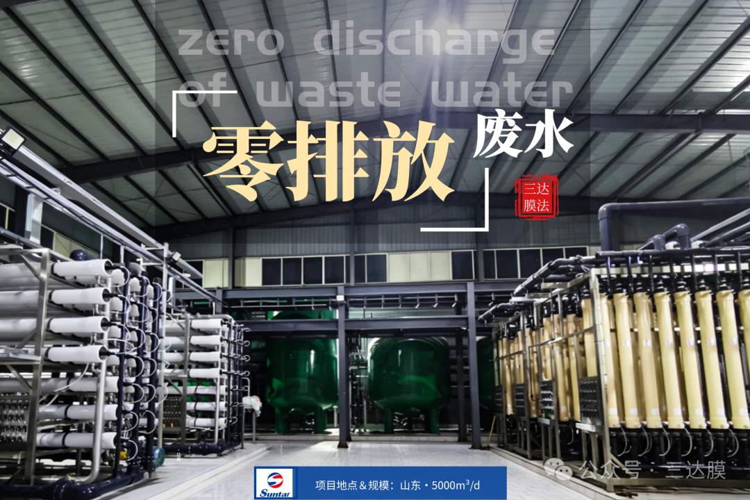 狮子会 - 打造绿色游戏娱乐
