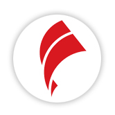 狮子会 - 打造绿色游戏娱乐