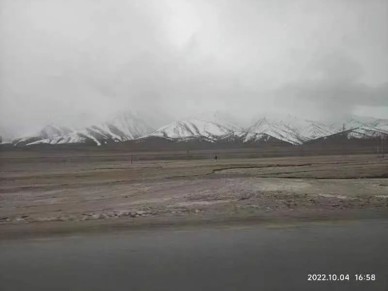 狮子会 - 打造绿色游戏娱乐