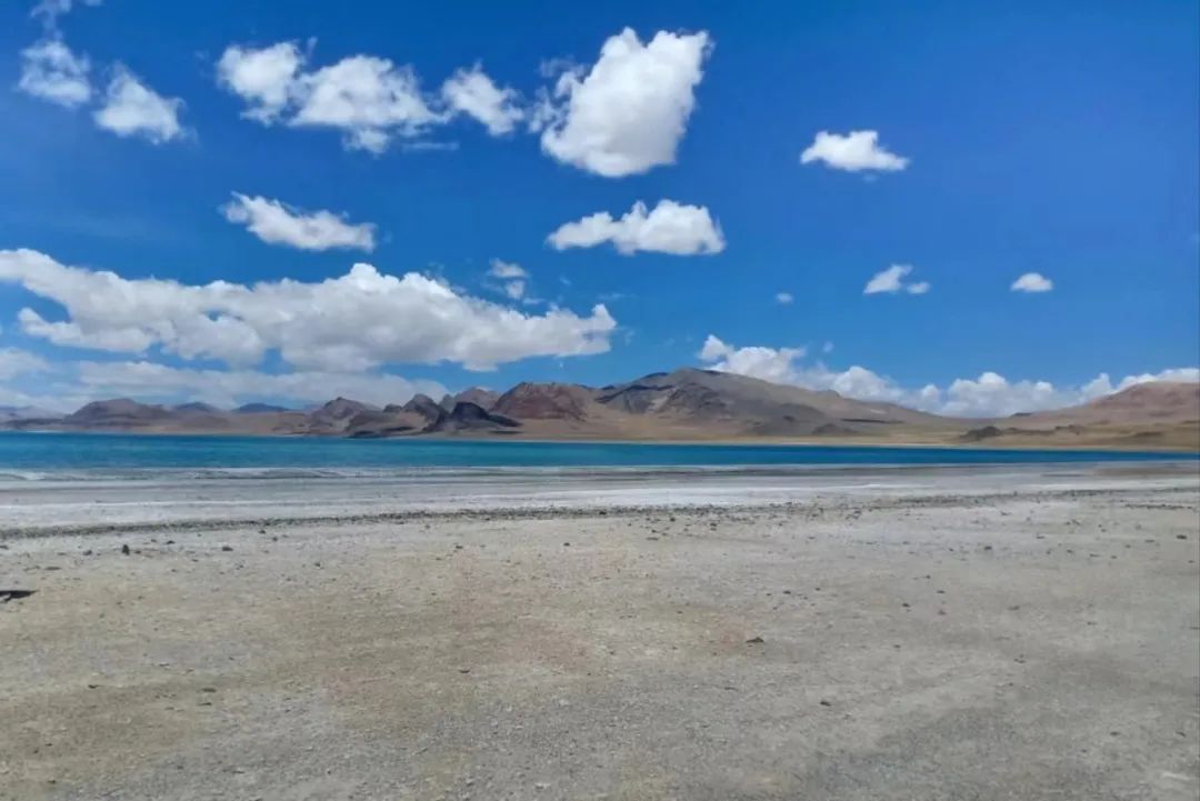 狮子会 - 打造绿色游戏娱乐