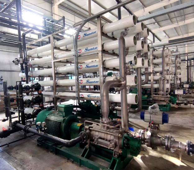 狮子会 - 打造绿色游戏娱乐