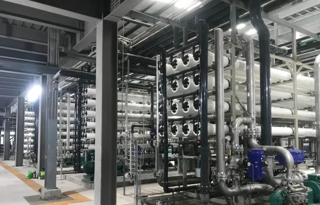 狮子会 - 打造绿色游戏娱乐