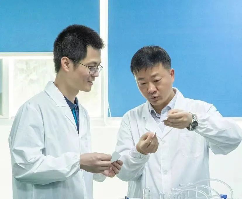 狮子会 - 打造绿色游戏娱乐